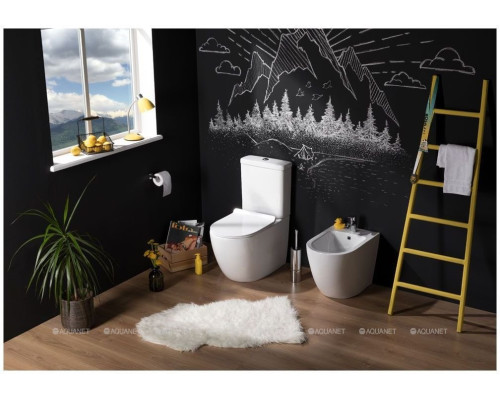 Сливной бачок Aquanet Cetus-C2 BL-102N-TPT