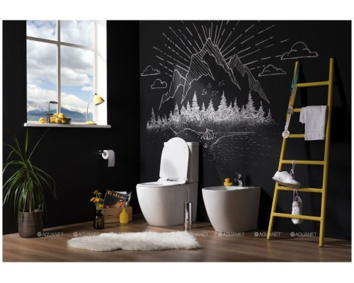 Сливной бачок Aquanet Cetus-C2 BL-102N-TPT