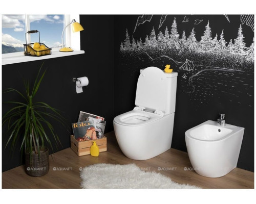 Сливной бачок Aquanet Cetus-C2 BL-102N-TPT