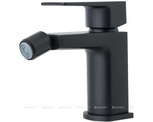 Смеситель для биде Allen Brau Infinity 5.21004-31 (с донным клапаном) черный матовый