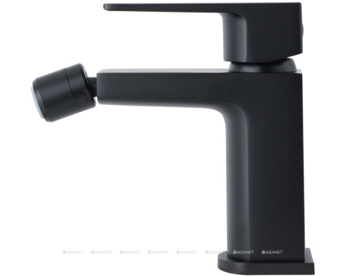 Смеситель для биде Allen Brau Infinity 5.21004-31 (с донным клапаном) черный матовый