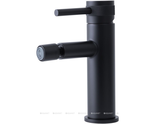 Смеситель для биде Allen Brau Priority 5.31004-31 (с донным клапаном) черный матовый