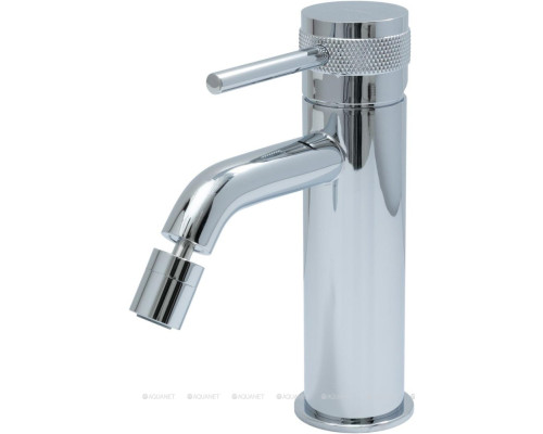 Смеситель для биде Allen Brau Priority 5.31A04-00 (с донным клапаном) хром