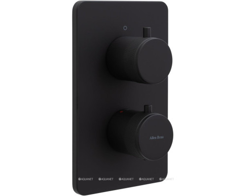 Смеситель для душа Allen Brau Priority 5.31113-31 (с внутренней частью, 1 выход) черный матовый
