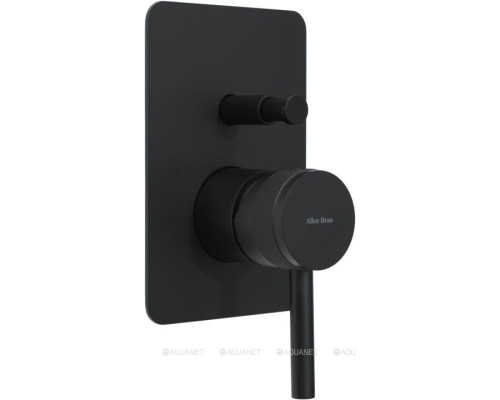 Смеситель для душа Allen Brau Priority X2 5.31011-31 (с внутренней частью, 2 выхода) черный матовый