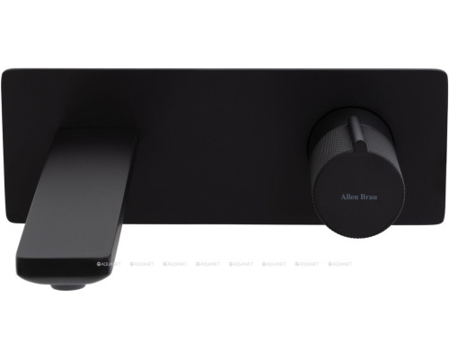 Смеситель для раковины Allen Brau Liberty 5.33004-31 (с внутренней частью) черный матовый