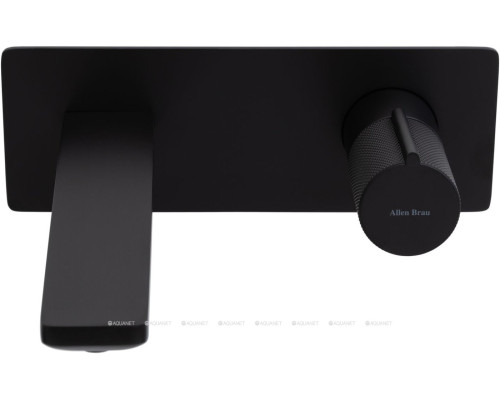 Смеситель для раковины Allen Brau Liberty 5.33004-31 (с внутренней частью) черный матовый