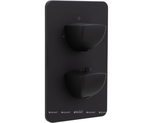 Смеситель для ванны Allen Brau Infinity 5.21216-31 (с внутренней частью, 2 выхода) черный матовый