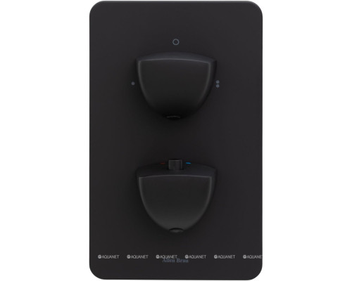 Смеситель для ванны Allen Brau Infinity 5.21216-31 (с внутренней частью, 2 выхода) черный матовый