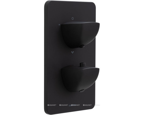 Смеситель для ванны Allen Brau Infinity 5.21316-31 (с внутренней частью, 3 выхода) черный матовый