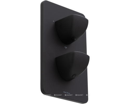 Смеситель для ванны Allen Brau Infinity 5.21316-31 (с внутренней частью, 3 выхода) черный матовый