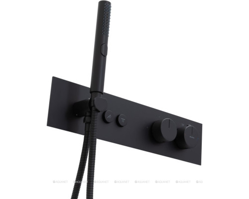 Смеситель для ванны Allen Brau Liberty 5.33010-31 (с внутренней частью, 2 хода) черный матовый