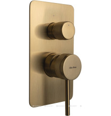 Смеситель для ванны Allen Brau Priority 5.31011-GB (с внутренней частью, 2 выхода) золото