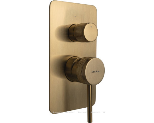 Смеситель для ванны Allen Brau Priority 5.31011-GB (с внутренней частью, 2 выхода) золото