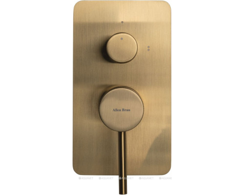Смеситель для ванны Allen Brau Priority 5.31011-GB (с внутренней частью, 2 выхода) золото