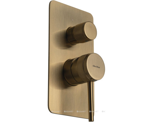 Смеситель для ванны Allen Brau Priority 5.31011-GB (с внутренней частью, 2 выхода) золото