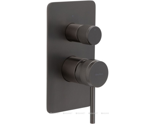 Смеситель для ванны Allen Brau Priority 5.31011-MG (с внутренней частью, 2 выхода) графит браш