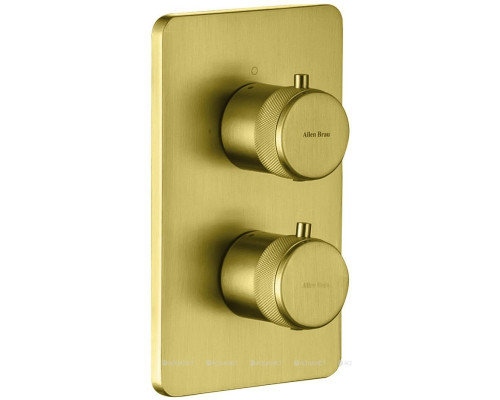 Смеситель для ванны Allen Brau Priority 5.31213-GB (с внутренней частью, 2 выхода) золото