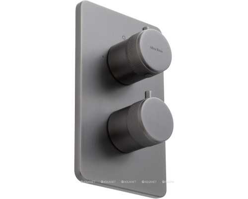 Смеситель для ванны Allen Brau Priority 5.31213-MG (с внутренней частью, 2 выхода) графит браш