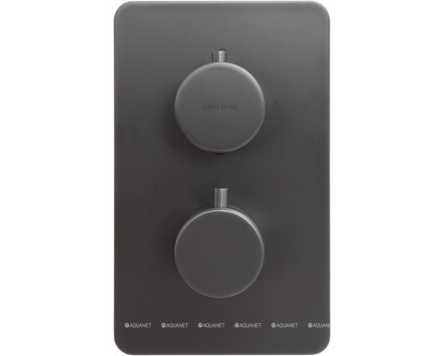 Смеситель для ванны Allen Brau Priority 5.31213-MG (с внутренней частью, 2 выхода) графит браш