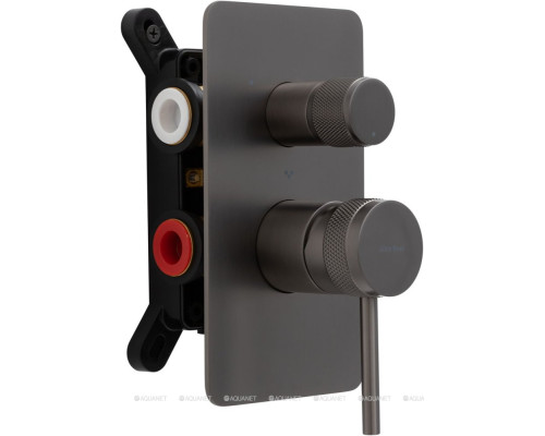 Смеситель для ванны Allen Brau Priority 5.31A11-MG (с внутренней частью, 3 выхода) графит браш