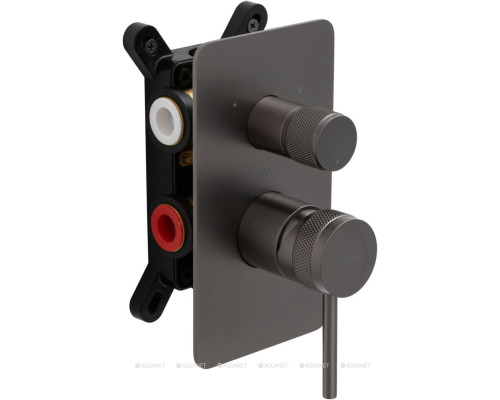 Смеситель для ванны Allen Brau Priority 5.31A11-MG (с внутренней частью, 3 выхода) графит браш