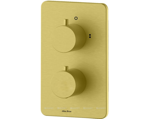 Смеситель для ванны Allen Brau Priority 5.3U123-GB (с внутренней частью, 3 выхода) золото браш