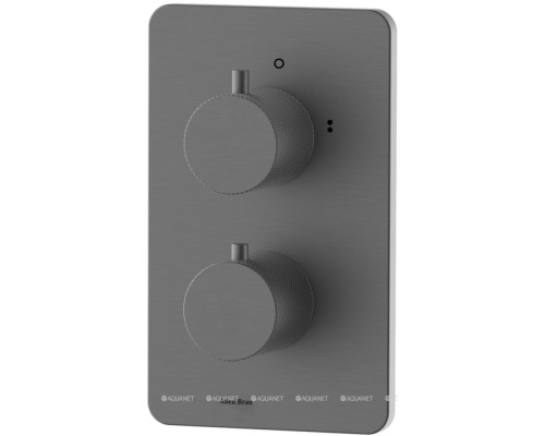 Смеситель для ванны Allen Brau Priority 5.3U123-MG (с внутренней частью, 3 выхода) графит браш