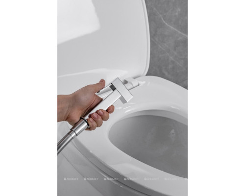 Смеситель с гигиеническим душем Allen Brau Infinity 5.21005-00 (с внутренней частью) хром