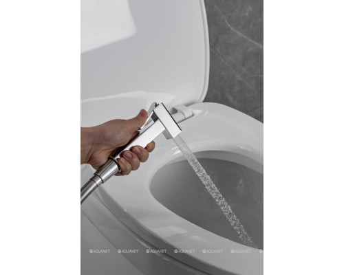 Смеситель с гигиеническим душем Allen Brau Infinity 5.21005-00 (с внутренней частью) хром