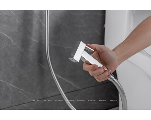 Смеситель с гигиеническим душем Allen Brau Infinity 5.21005-00 (с внутренней частью) хром