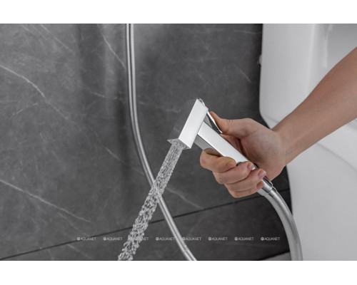 Смеситель с гигиеническим душем Allen Brau Infinity 5.21005-00 (с внутренней частью) хром