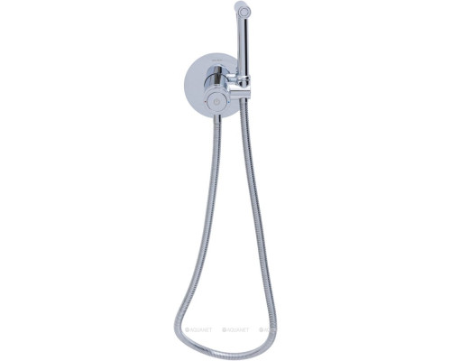 Смеситель с гигиеническим душем Allen Brau Liberty 5.33005-00 (с внутренней частью) хром