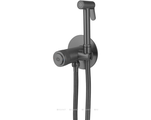 Смеситель с гигиеническим душем Allen Brau Liberty 5.33005-MG (с внутренней частью) графит браш