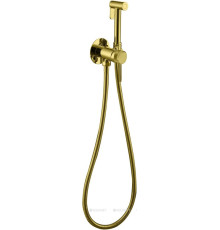 Смеситель с гигиеническим душем Allen Brau Priority 5.31A29-GB (с внутренней частью) золото