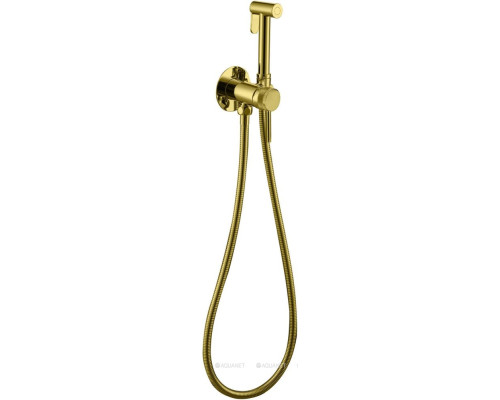 Смеситель с гигиеническим душем Allen Brau Priority 5.31A29-GB (с внутренней частью) золото