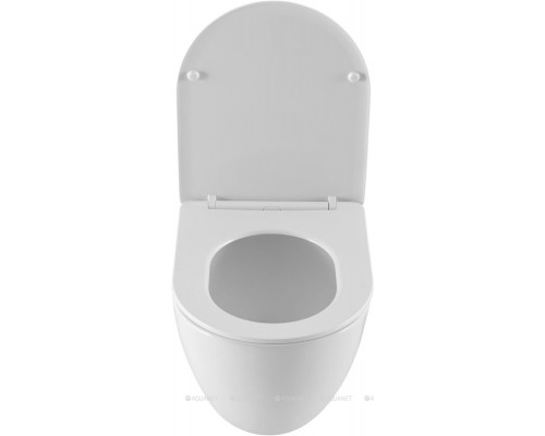 Унитаз подвесной Allen Brau Priority 4 4.31013.20 белый