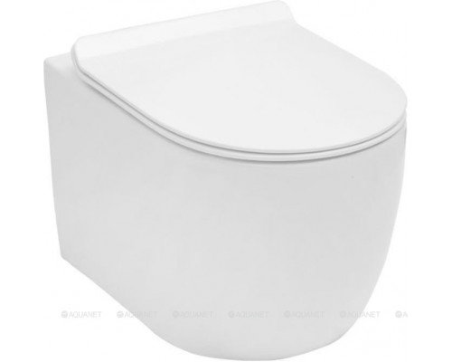 Унитаз подвесной Aquanet Rimless Cetus-W BL-102N-WHT