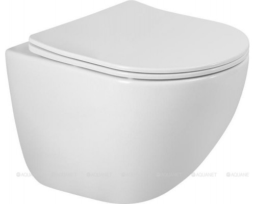 Унитаз подвесной BelBagno Amanda BB051CH-TOR-FC/SC