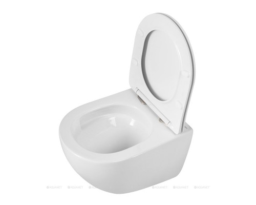 Унитаз подвесной BelBagno Amanda BB051CH-TOR-FC/SC