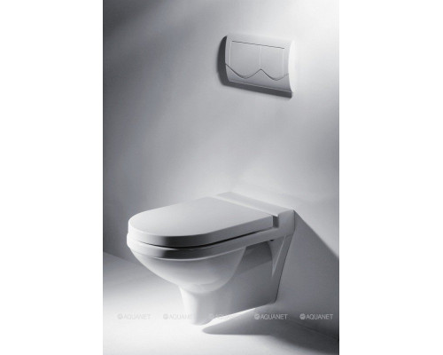 Унитаз подвесной Bravat New Moon C2166W-ENG