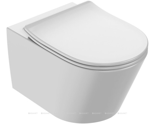 Унитаз подвесной Jacob Delafon Bastille EDAB102-00