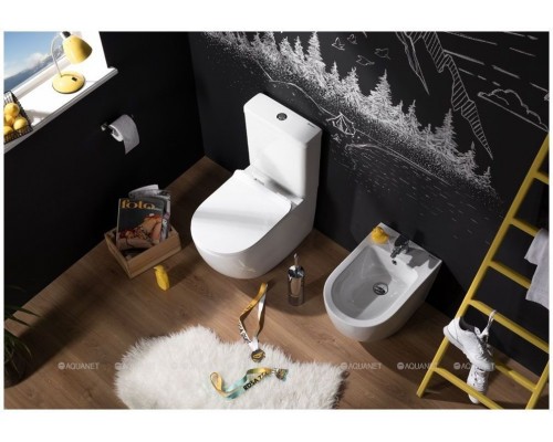 Унитаз-компакт Aquanet Rimless Cetus-C1 BL-102N-TPT