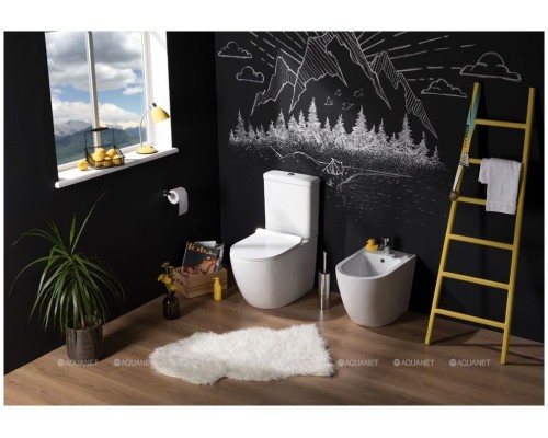 Унитаз-компакт Aquanet Rimless Cetus-C1 BL-102N-TPT