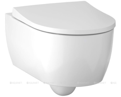 Унитаз с инсталляцией Geberit Icon 500.300.82.1