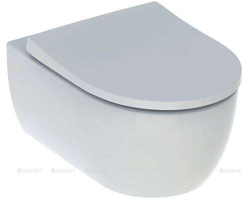 Унитаз с инсталляцией Geberit Icon 500.300.82.1