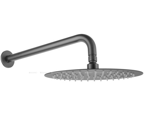 Верхний душ Allen Brau Priority 5.31017-MG графит браш
