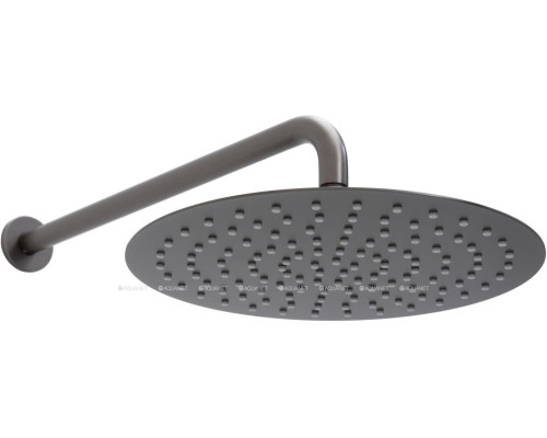 Верхний душ Allen Brau Priority 5.31A17-MG графит браш