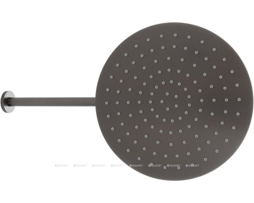 Верхний душ Allen Brau Priority 5.31A17-MG графит браш