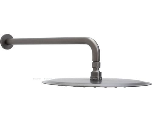 Верхний душ Allen Brau Priority 5.31A17-MG графит браш